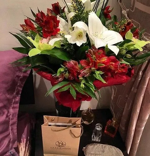 Pleasure Apartment Near Center Of Odessa Odesa